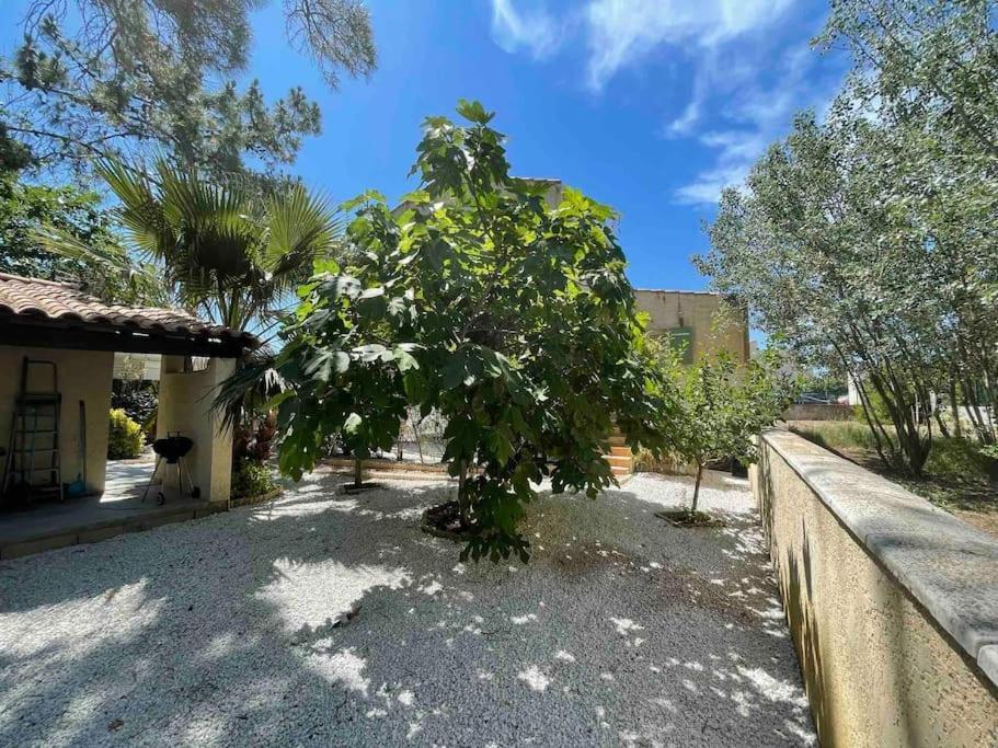 Marseillan Plage Studio Independant Exterior foto
