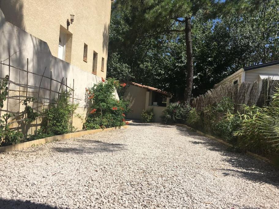 Marseillan Plage Studio Independant Exterior foto
